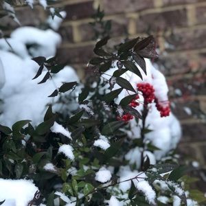 Meet your Posher, Lucy